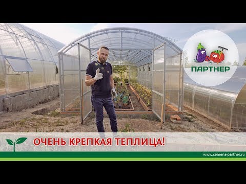 Видео: ОЧЕНЬ КРЕПКАЯ ТЕПЛИЦА!