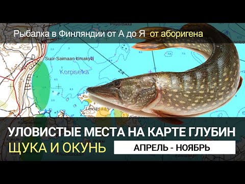 Видео: Клевые места на карте глубин. Щука и окунь. Анализ карты глубин. Поиск мест. Рыбалка в Финляндии.