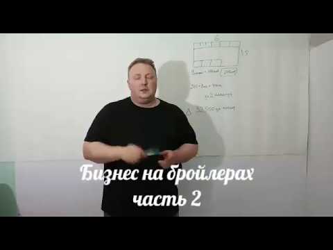 Видео: Бизнес на бройлерах (часть 2)