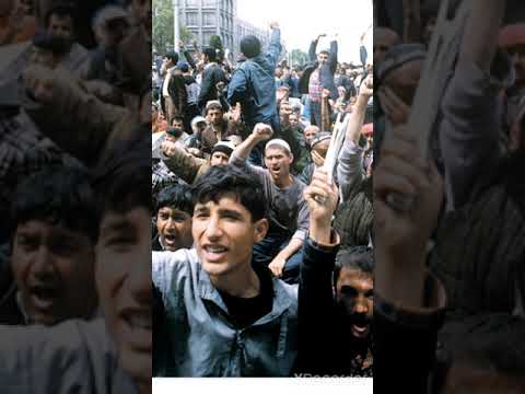 Видео: Шабхои зулмони  лайка фаромушт накуненд.