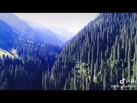 Видео: Әдемі қыз   ,  дәурен нұрқожа ұлы   . ءادەمى قىز   ،  داۋرەن نۇرعوجا ۇلى