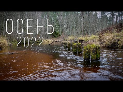 Видео: Осень 2022, итоги конкурса.