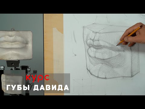 Видео: Губы Давида 👄 - А. Рыжкин /Видеокурс /