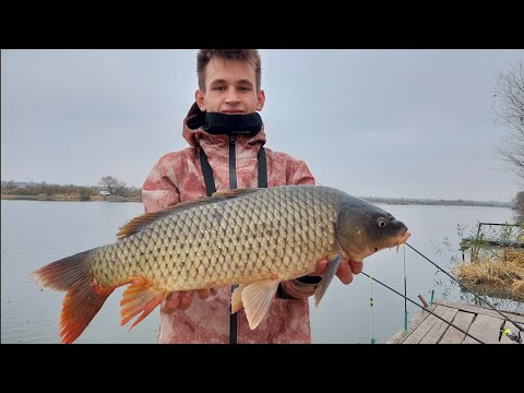 Видео: Рыбалка с ночёвкой на реке ДНЕСТР. Ловим САЗАНОВ в ноябре. Карп. карась. лещ.