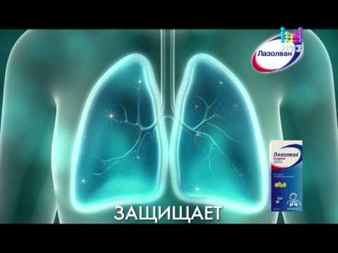 Видео: Фрагмент эфира Муз-ТВ (25.08.2012)