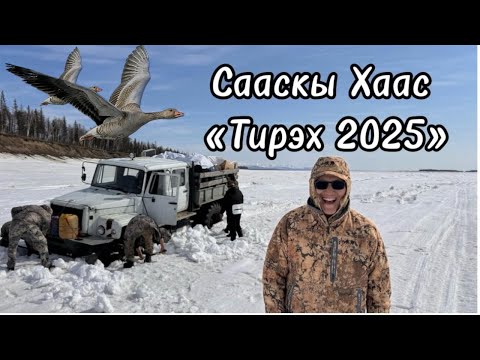 Видео: Сааскы Хаас "Тирэх-2025"
