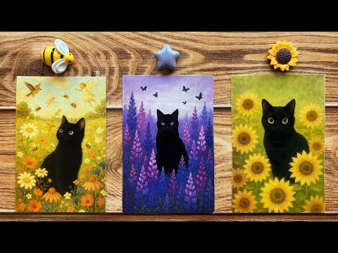 Видео: ВАМ ПОСЛАНИЕ ОТ ЧЁРНОГО КОТА!🍀🐈‍⬛✨ | Гадание на картах Таро