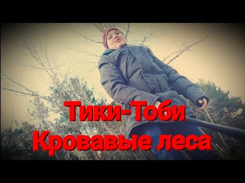 Видео: Тики-Тоби: Кровавые леса | Короткометражный фильм