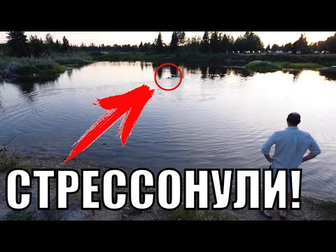 Видео: УПЛЫЛА И ЕЙ ПОФИГУ! ЗАКУПКА!