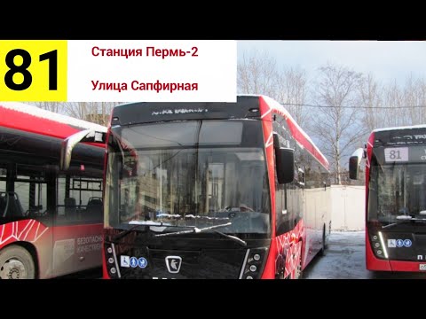 Видео: Автобус (электробус) КамАЗ-6282, О 987 УА 159, 81 маршрут, Пермь, 24.11.23