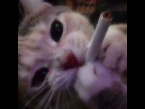 Видео: Земфира-,,Злой человек"(speed up 10 минут)