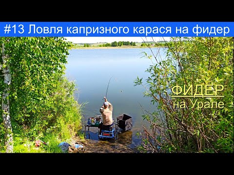 Видео: Ловля капризного карася на фидер. Рыбалка в Челябинской области.