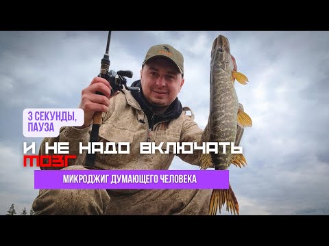 Видео: Подбираем чебурашки для микроджиговой приманки // почему это гораздо важнее чем выбор спиннинга