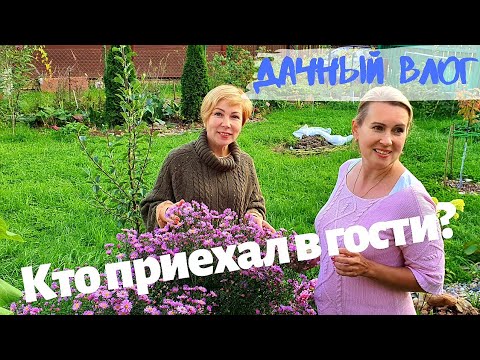 Видео: СТАРАЯ ДАЧА | У НАС ГОСТИ! Обзор дома и участка. Погребок с заготовками. №66