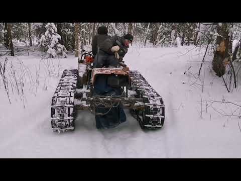 Видео: Гусеничный трактор поехали за дровами валежником.