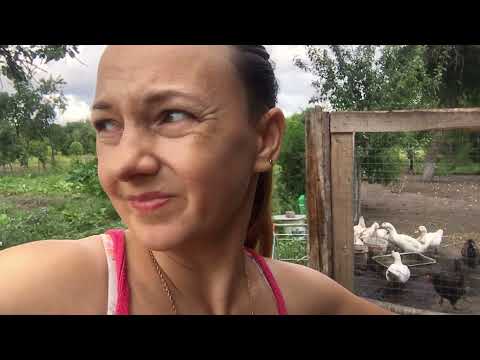 Видео: ВСЯ ПРАВДА О ПЕРЕЕЗДЕ В ДЕРЕВНЮ! НАДОЕЛО ВСЁ!!!