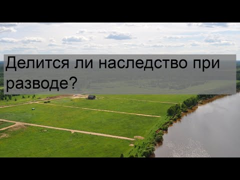 Видео: Делится ли наследство при разводе?