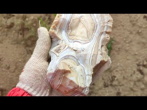 Видео: Поход  на Дмитровский карьер. Дмитровский рисунчатый кремень, Подмосковные аммониты и дендриты.