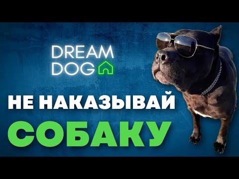 Видео: Как наказывать собаку правильно 🐶 Чтобы не потерять доверие