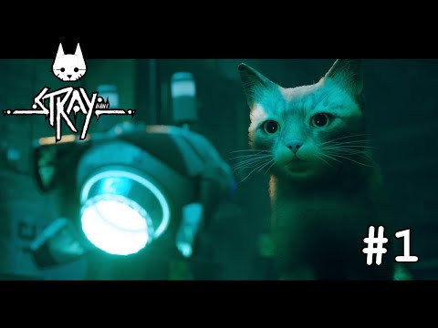 Видео: Stray #1 (Мертвый город) | Let's Play Слепое прохождение