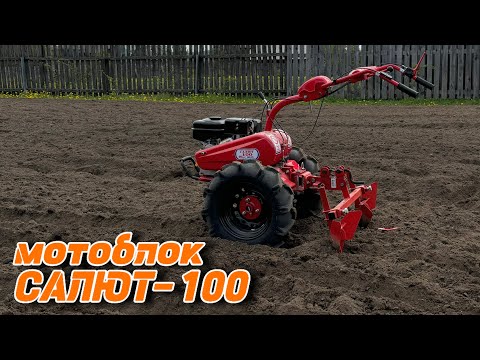 Видео: Мотоблок САЛЮТ-100 / сажаем картофель