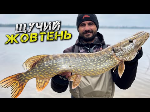 Видео: ✅ ЦЕ ВЖЕ ЖОР?! ЖОВТЕНЬ - ЧАС ЩУКИ! ✅