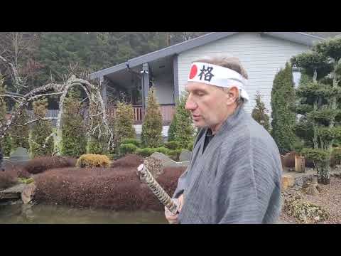 Видео: Японский "Сад Воды и Холмов" под Петербургом. 28.11.2024. Japanese Garden near St.Petersburg.