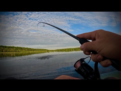 Видео: ЛІТНІЙ СПІНІНГ|РИБАЛКА НА ЩУКУ ТА ОКУНЯ