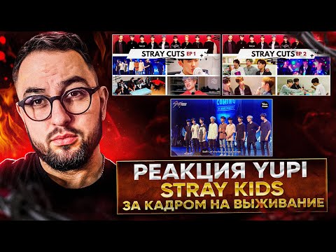 Видео: РЕАКЦИЯ YUPI НА Stray Kids | Stray cuts Ep. 1-5 | Stray Kids шоу на выживание