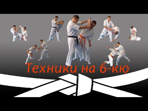 Видео: Техники на 6-кю (Белый пояс) Айкидо