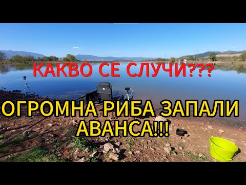 Видео: ЯЗОВИР-ВАЛОГО на МЕТОД ФИДЕР клъвна ОГРОМНА РИБА!