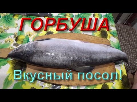 Видео: Как вкусно засолить горбушу и другую красную рыбу