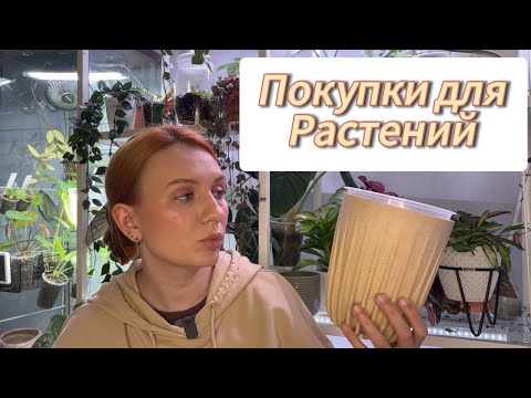 Видео: Покупки для растений | Стаканчики | Кашпо