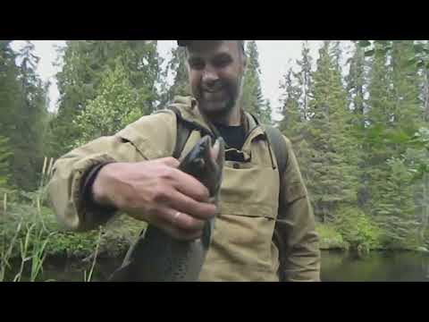 Видео: на озёрах и малых реках,рыбалка,открытие охоты