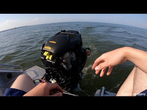 Видео: Рыбалка с лодки! Капризы китайского мотора! Тейл-спиннер! Ловля хищника!