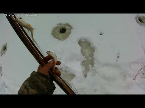 Видео: Рыбачим  экранами..и  как  солим   рыбу