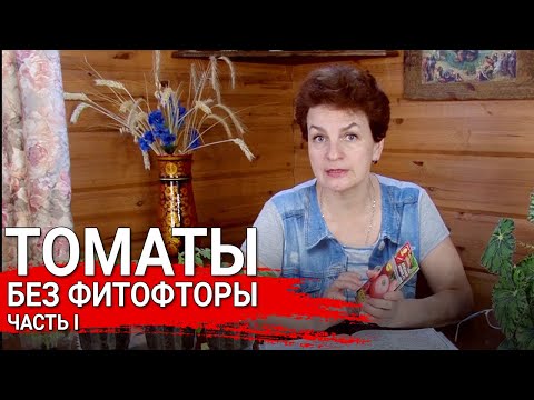 Видео: Томаты без фитофторы часть  1