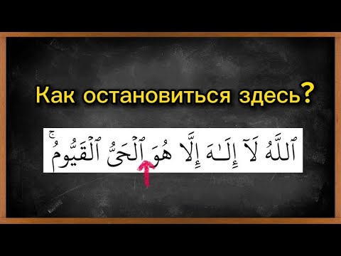 Видео: Как правильно остановиться на و и ي