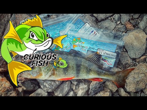 Видео: CURIOUSFISH | СИЛИКОН КОТОРЫЙ ЛОВИТ | Gamakatsu LUXXE Yoihime Hana S69FL-solid