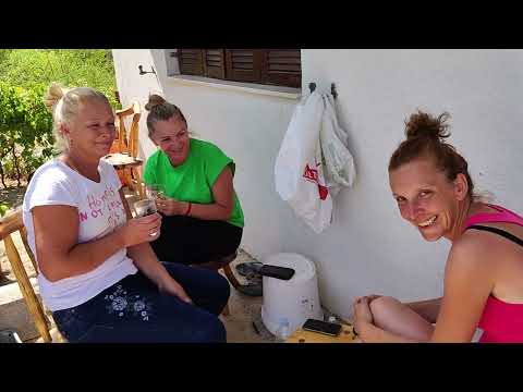 Видео: Братишковци - Selo Bratiškovci kod Skradina