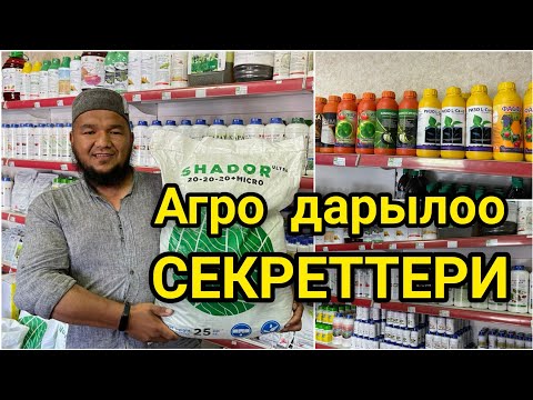 Видео: Бардык СЕКРЕТТЕР айтылды  |  Дарактарды өз убагында ДАРЫЛАГЫЛА  /  Байланыш үчүн: 0773 33 37 37
