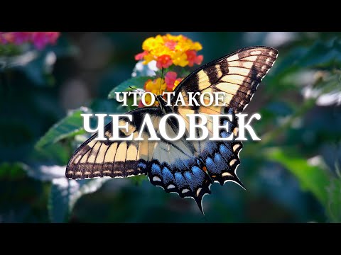Видео: Что такое человек?