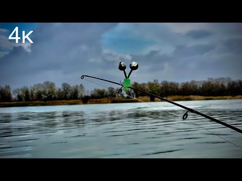 Видео: Рыбалка на рыбца (сырть) с лодки! Рыбалка на Дону в ноябре!