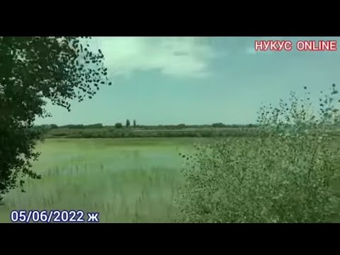 Видео: САЛЫ РЕКИТЛЕРЕРГЕ ХАЛЫК АШПА ТОКПА КЫЗЫК ЕМЕС