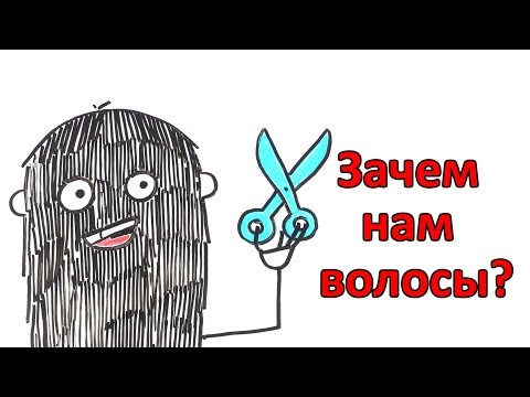 Видео: Зачем людям волосы?
