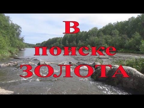 Видео: В поиске золота. Разведка новых мест.