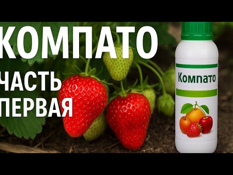 Видео: Компатто для клубники не заменим