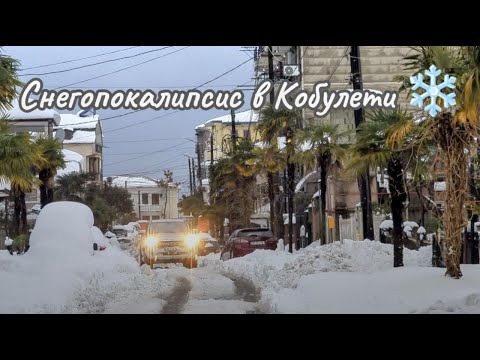 Видео: Снегопокалипсис в Кобулети ❄️ Snowpocalypse in Kobuleti. 24, February, 2025