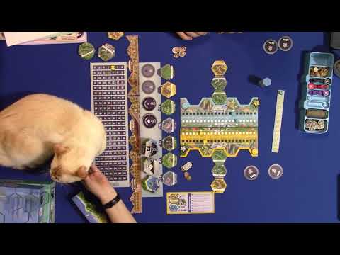 Видео: Играем в настольную игру Пригород с дополнениями