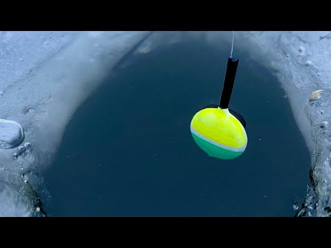 Видео: Ловля КРУПНОГО КАРАСЯ! НЕ ПРОЛАЗЯТЬ В ЛУНКУ!!!
